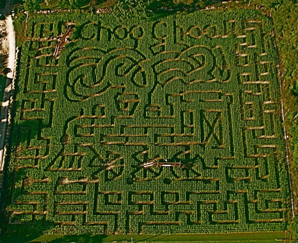 2008 Corn Maze